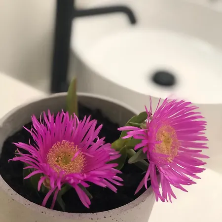 Σπίτι διακοπών Harmony Luxury Naxos *