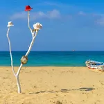 Harmony Luxury Naxos Feriehus *