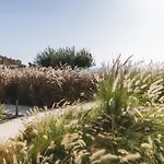 Feriehus Harmony Luxury Naxos *