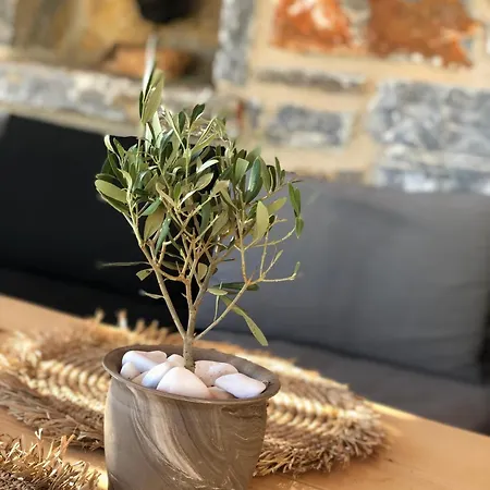 Harmony Luxury Naxos בית נופש *